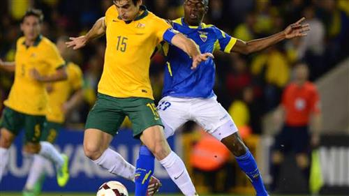 Beta Bet Tips for Home Remodeling Success